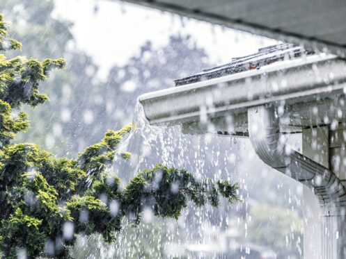 Plumbing services during monsoon season in Arizona